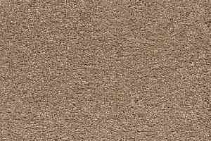 Ковролин AW Vivendi Punch 38 фото  | FLOORDEALER